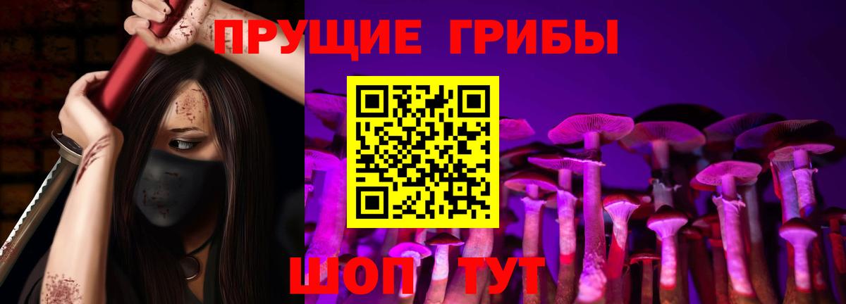 Краснокаменск  Псилоцибиновые грибы GOLDEN TEACHER  Вход с VPN 